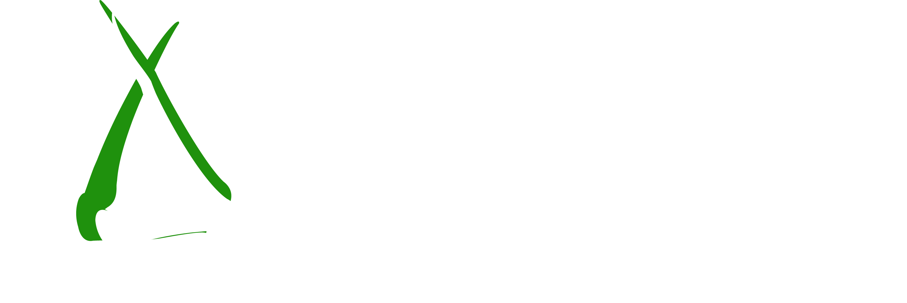 taborok